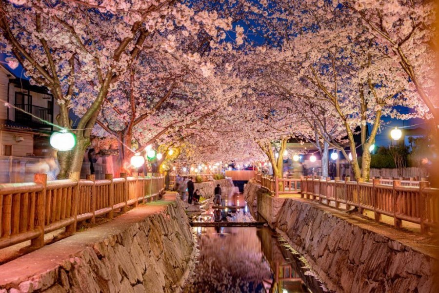 🌸 사슴 우물 샘(시카노이데스이) 이미지 3